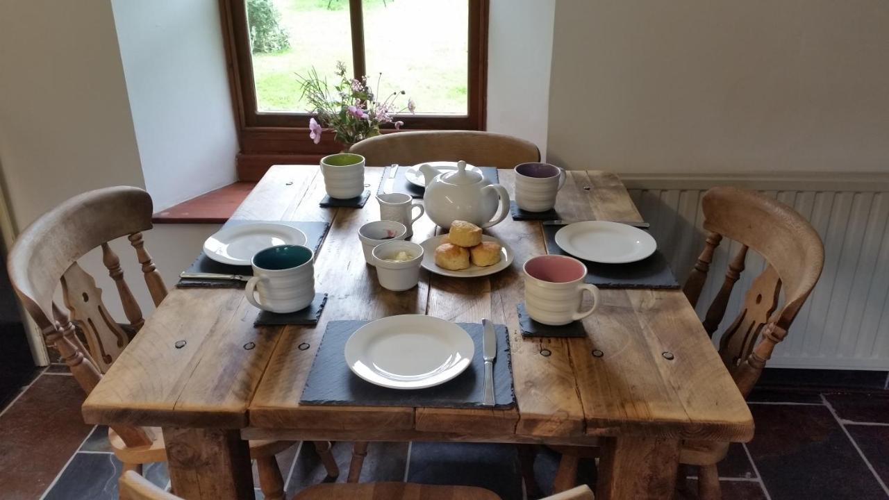 Delabole Coopers Cottage Dog Friendly North Cornwall מראה חיצוני תמונה